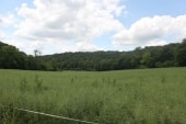Forêt des Dhuits